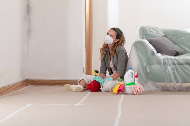Reliable Mold Cleanup contractor in Sudbury, MA by Cheap Mold Removal